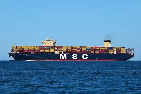 MSC Adya